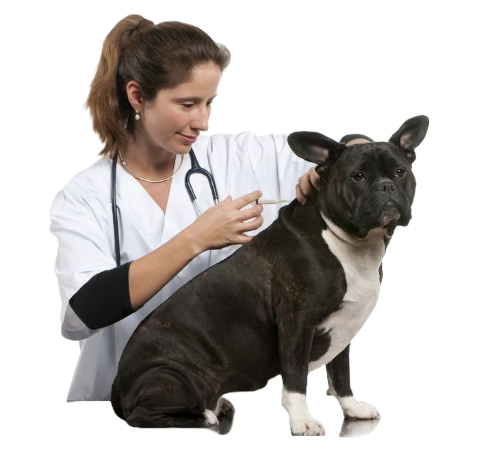 Adobe Express - file (4).png