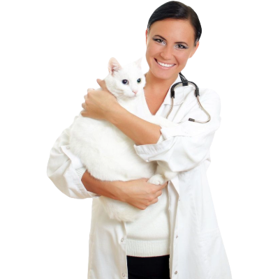 Remove background project.png