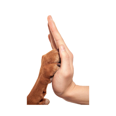 Remove background project (6).png